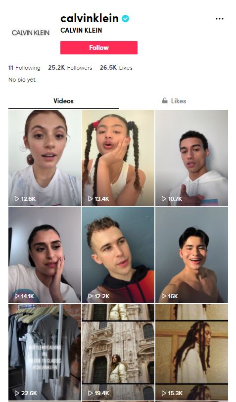 Why are TikTok Influencers Taking Over Luxury Fashion?